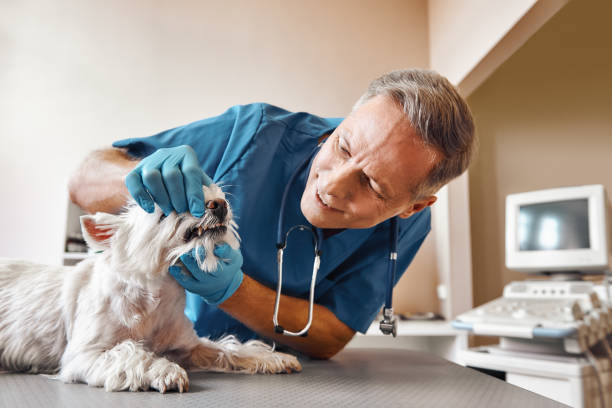 Best Dentist for Dental Trauma  in Friona, TX